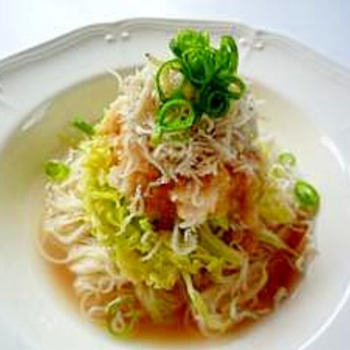 簡単 春キャベツとしらすと大根おろしのサラダ素麺 レシピ 作り方 By ぽんぽんぷー 楽天レシピ 簡単 春キャベツとしらすと大根おろしのサラダ素麺 レシピ 作り方 By ぽんぽんぷー 楽天レシピ